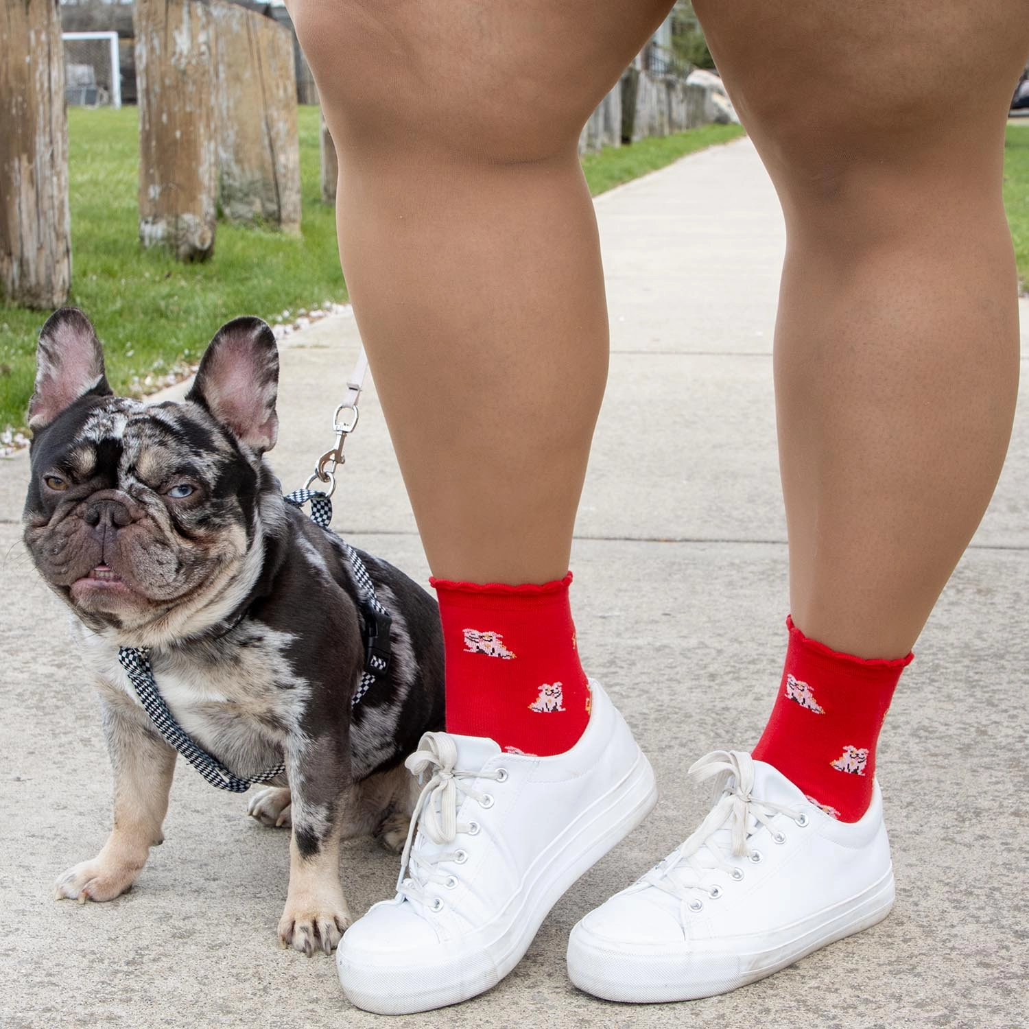 Bamboo Ankle Socks - 3 Pair Mystery Bundle