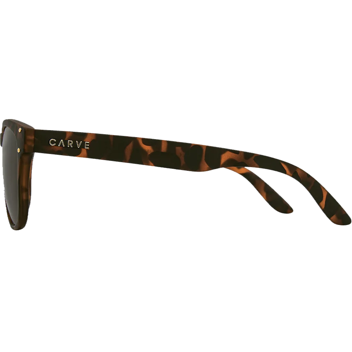 Bohemia Polarized
