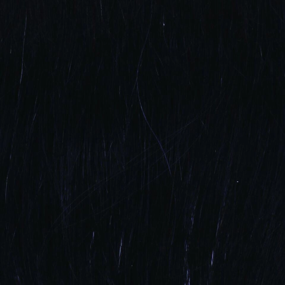 Chameleon Hair Addition by Raquel Welch | Synthetic | Clearance Sale Open Box (Unworn - Like New)