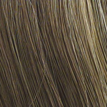 Chameleon Hair Addition by Raquel Welch | Synthetic | Clearance Sale Open Box (Unworn - Like New)