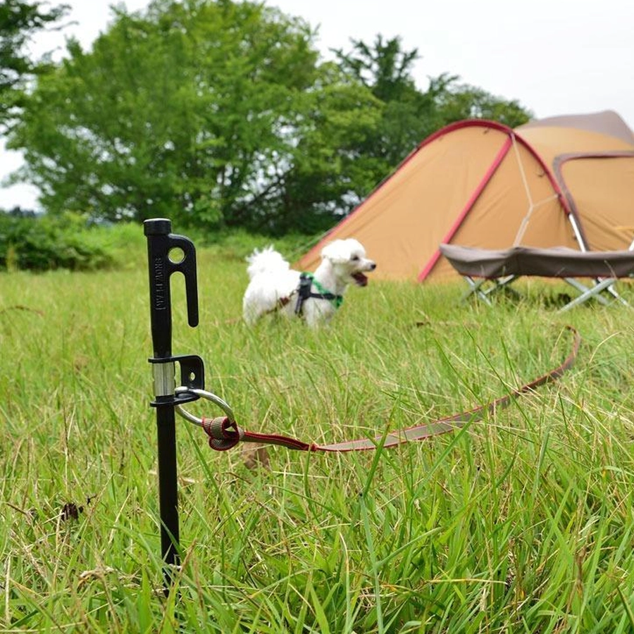 Dog Lead Anchor 50