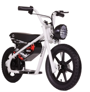 Droyd Weeler Youth Electric Motor Bike