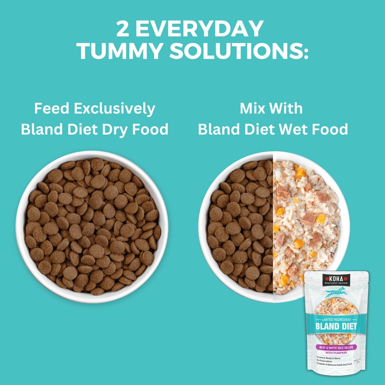 KOHA Limited Ingredient Bland Diet Beef & Brown Rice Recipe with Pumpkin Dry Dog Food