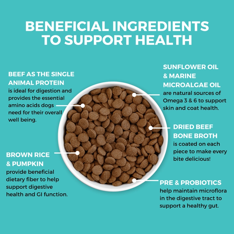 KOHA Limited Ingredient Bland Diet Beef & Brown Rice Recipe with Pumpkin Dry Dog Food