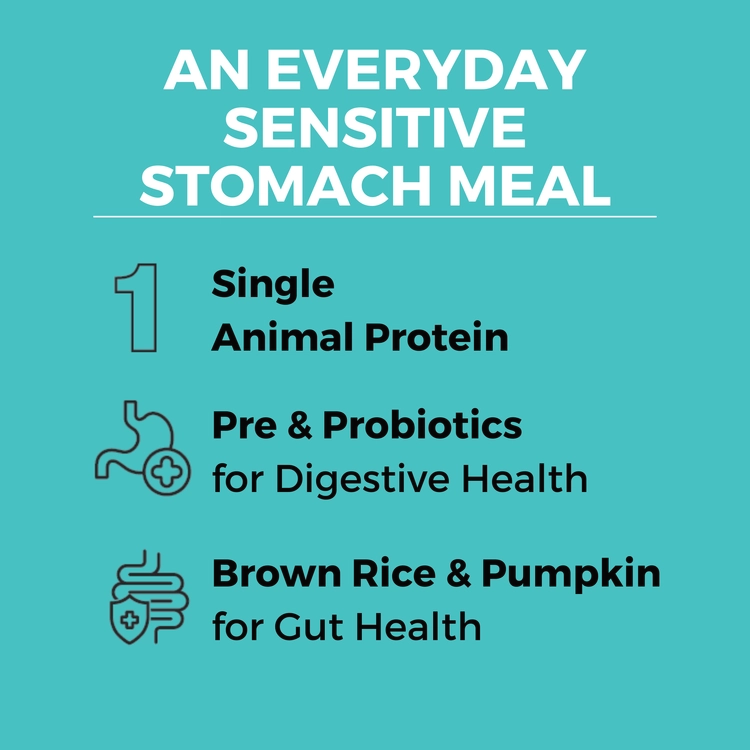KOHA Limited Ingredient Bland Diet Beef & Brown Rice Recipe with Pumpkin Dry Dog Food