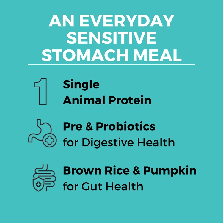 KOHA Limited Ingredient Bland Diet Beef & Brown Rice Recipe with Pumpkin Dry Dog Food