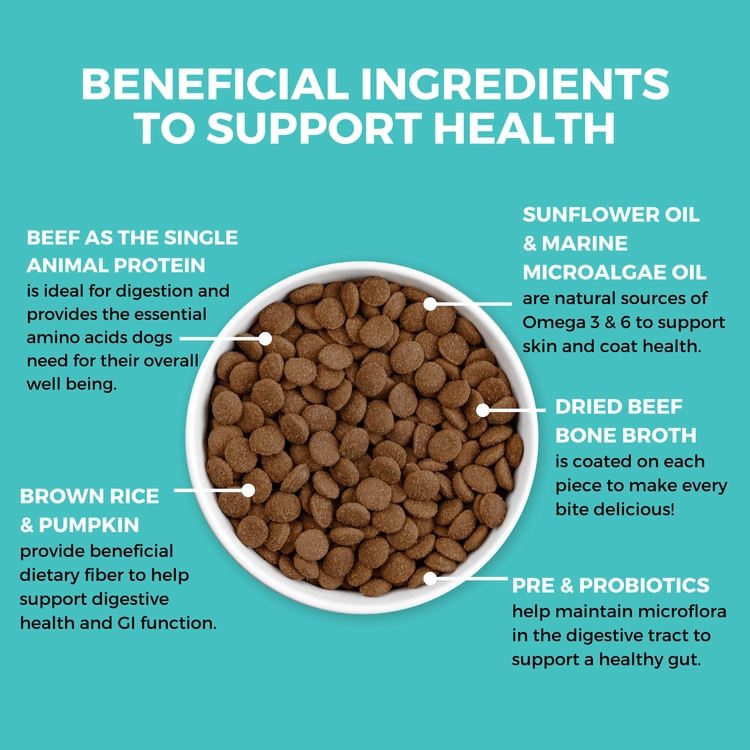 KOHA Limited Ingredient Bland Diet Beef & Brown Rice Recipe with Pumpkin Dry Dog Food