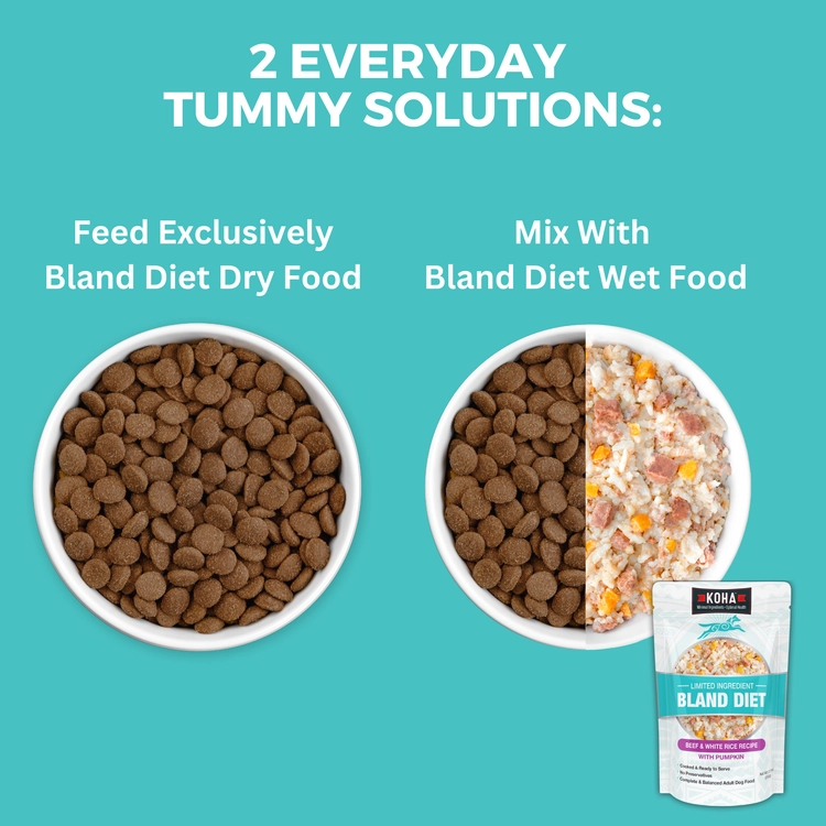 KOHA Limited Ingredient Bland Diet Beef & Brown Rice Recipe with Pumpkin Dry Dog Food