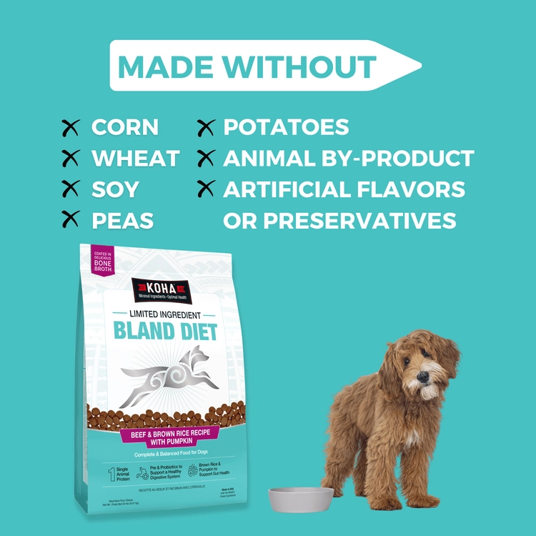 KOHA Limited Ingredient Bland Diet Beef & Brown Rice Recipe with Pumpkin Dry Dog Food