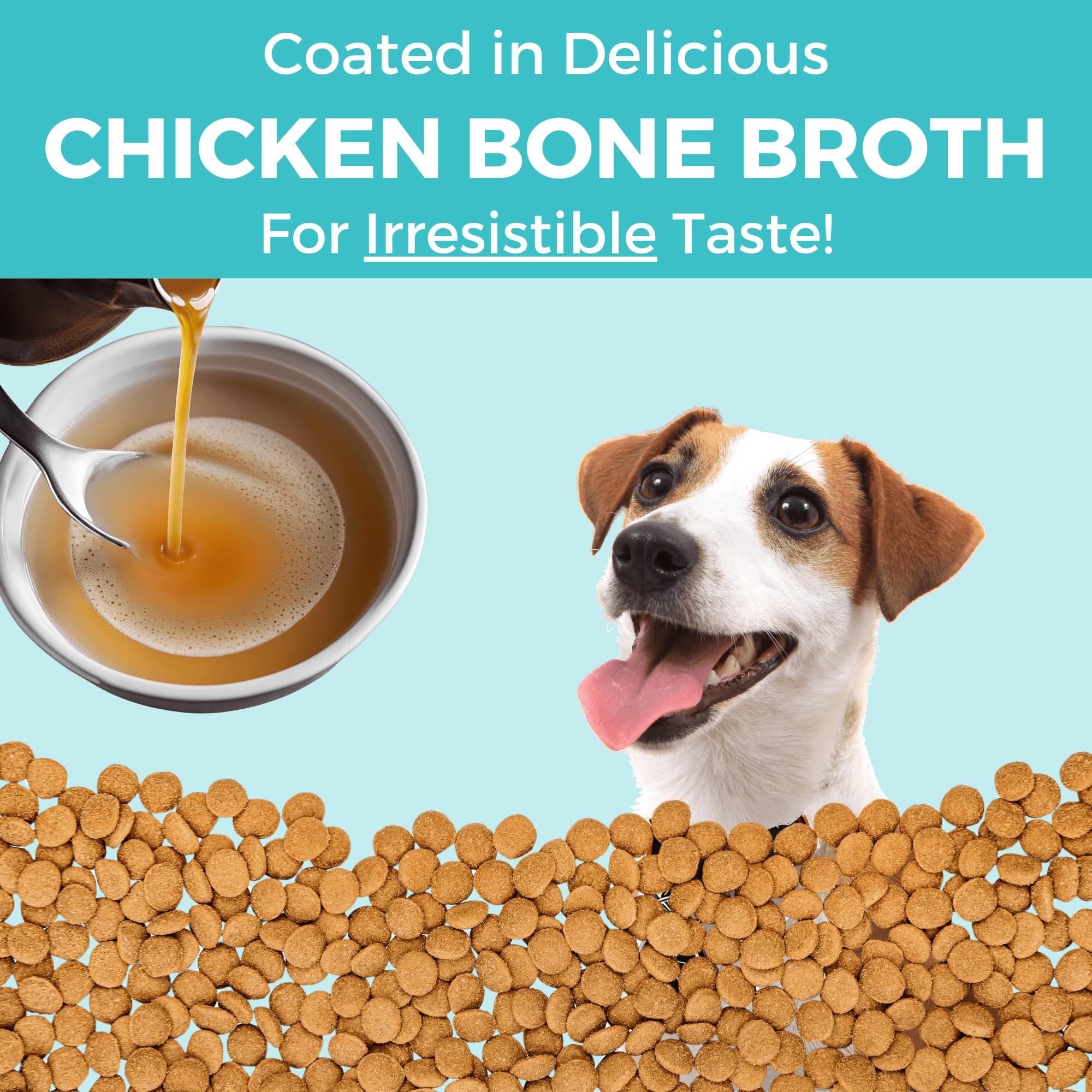 KOHA Limited Ingredient Bland Diet Chicken & Brown Rice Recipe with Pumpkin Dry Dog Food