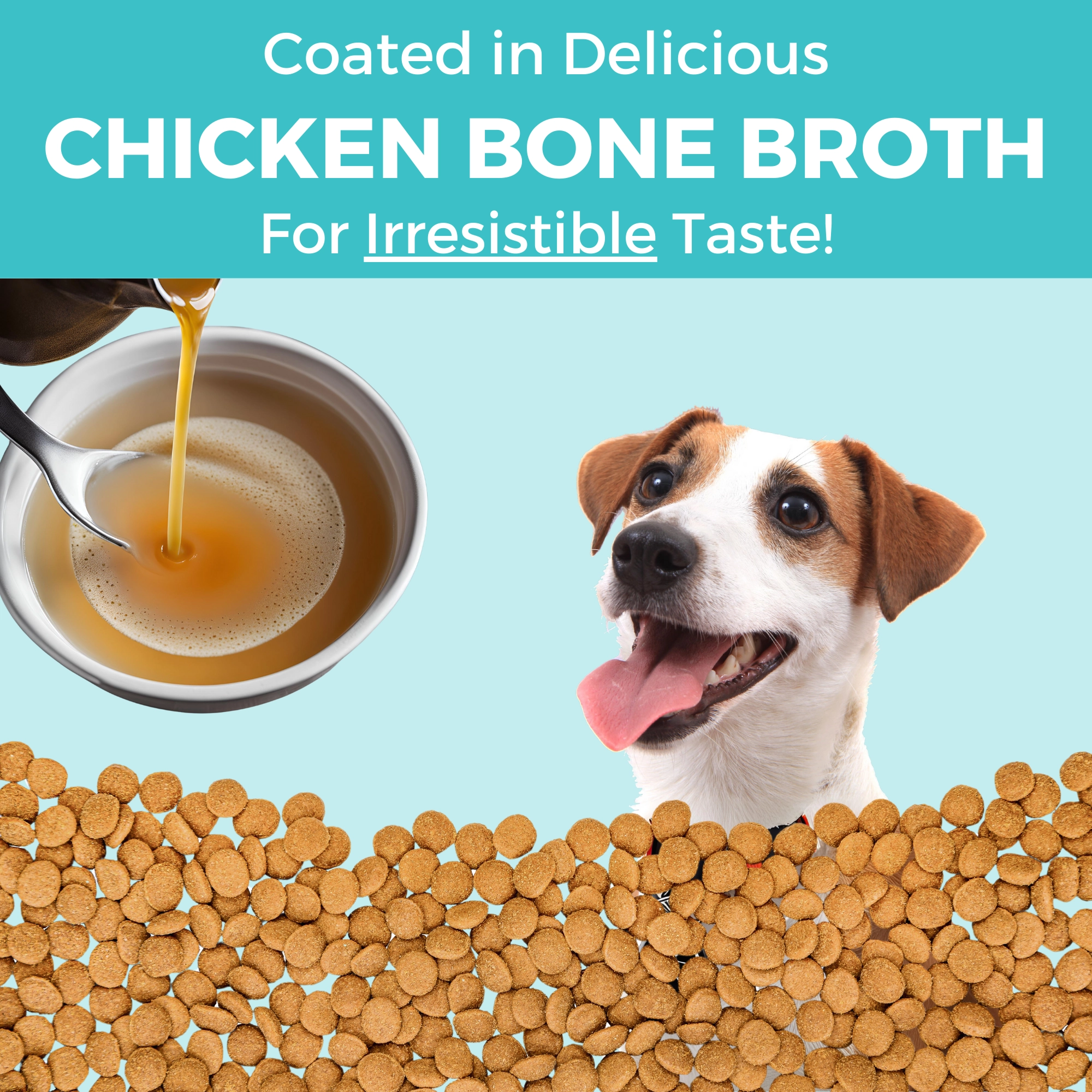 KOHA Limited Ingredient Bland Diet Chicken & Brown Rice Recipe with Pumpkin Dry Dog Food