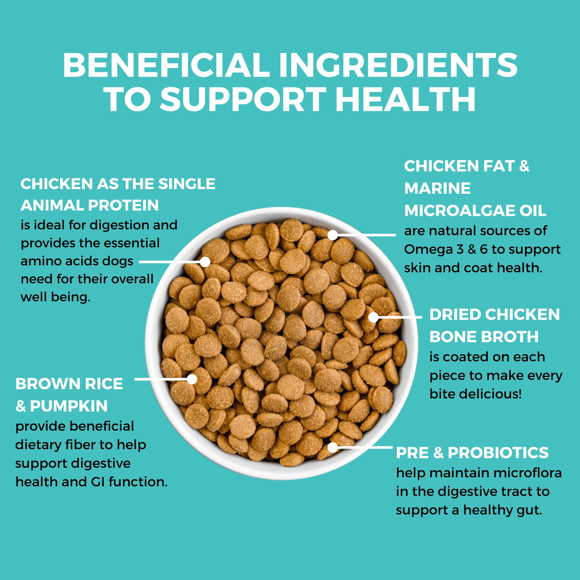 KOHA Limited Ingredient Bland Diet Chicken & Brown Rice Recipe with Pumpkin Dry Dog Food