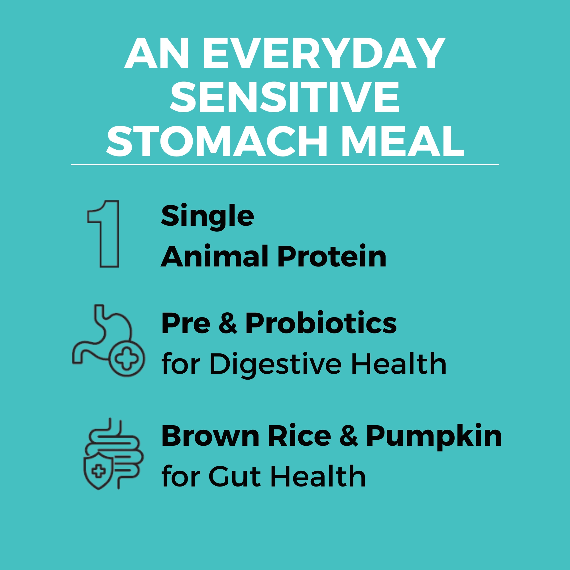 KOHA Limited Ingredient Bland Diet Chicken & Brown Rice Recipe with Pumpkin Dry Dog Food