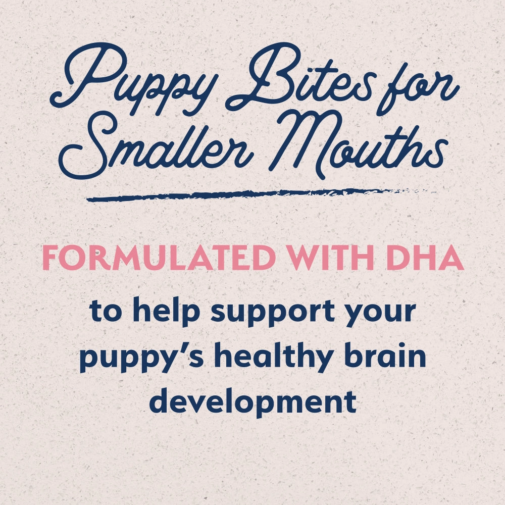 Natural Balance L.I.D. Limited Ingredient Diets Salmon & Brown Rice Puppy Formula Dry Dog Food