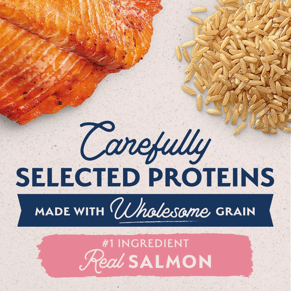 Natural Balance L.I.D. Limited Ingredient Diets Salmon & Brown Rice Puppy Formula Dry Dog Food