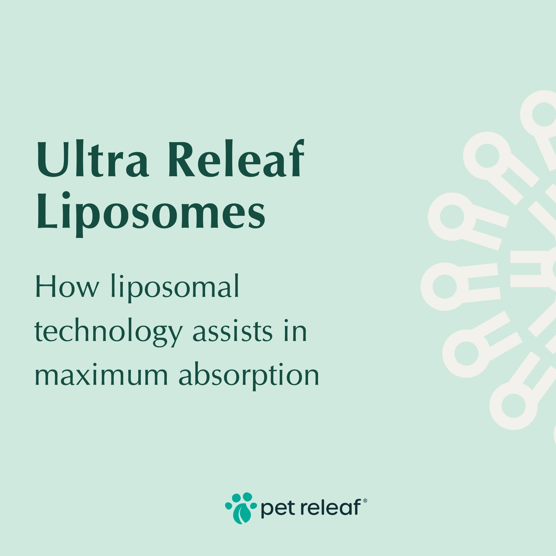 Pet Releaf Ultra Releaf Hemp Oil 100 For Small Dogs & Cats