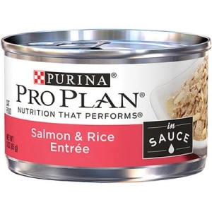 Purina Pro Plan Adult Salmon & Rice Entree in Sauce Canned Cat Food