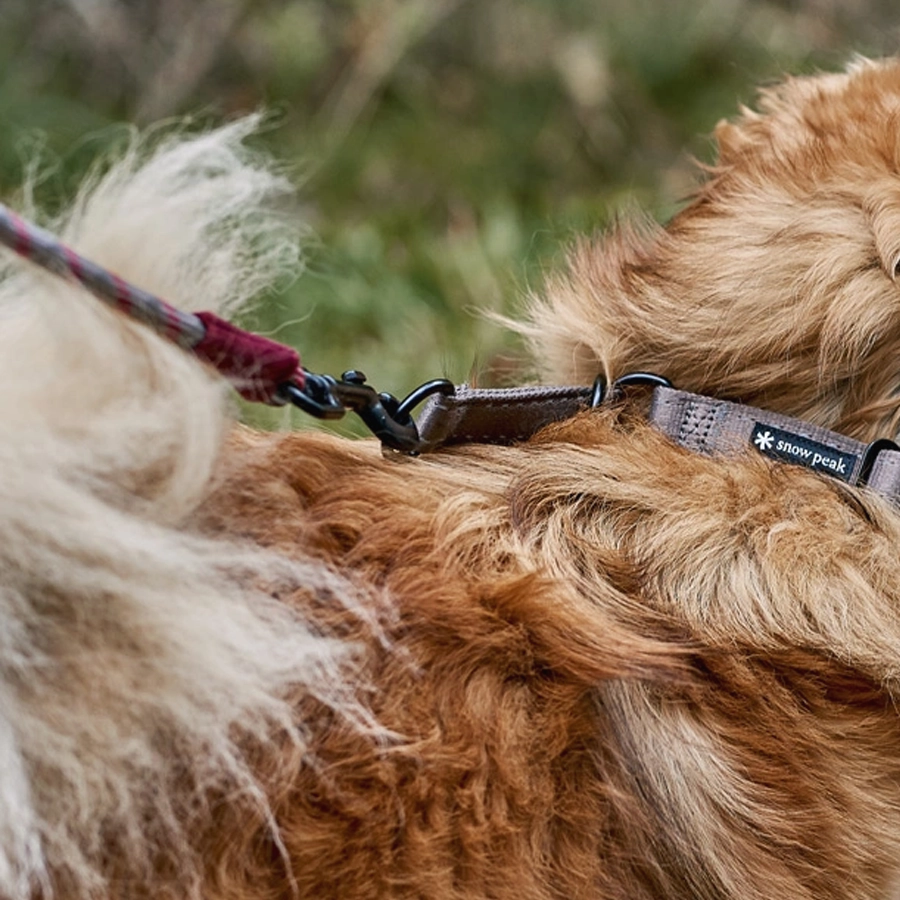 SP Rope Lead M